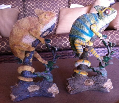 chameleons.jpg