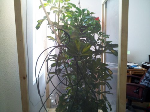 2014-03-02 13.04.18.jpg