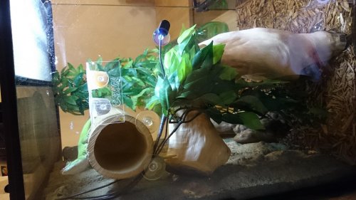DSC_0606.jpg