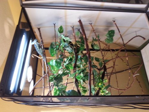20140305_160558.jpg