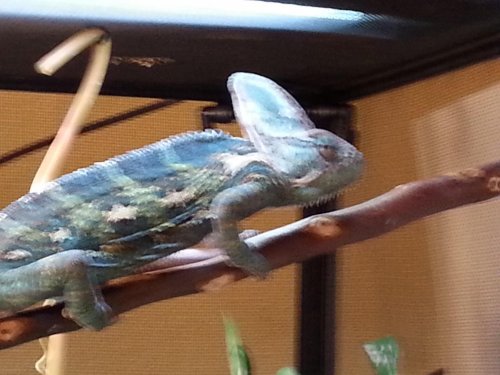 20140305_160535.jpg