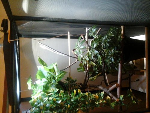 20140305_205549.jpg