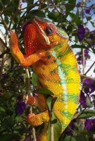 2014-03-08 21.34.13.jpg