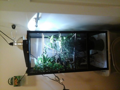 20140308_193832.jpg