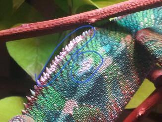 2014-03-10 21.55.58.jpg