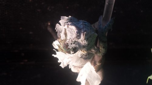 20140311_145436.jpg