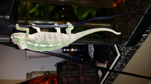 20140315_211753.jpg