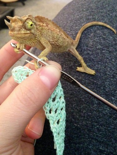 Photo 2014-02-18, 4 51 57 PM.jpg