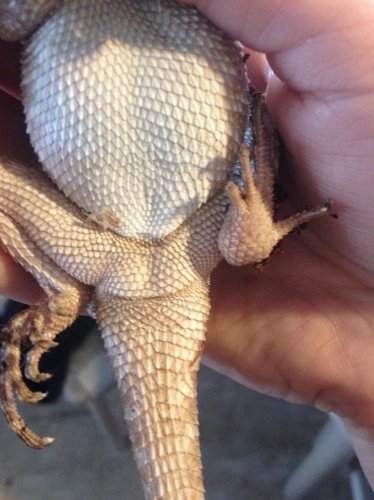 Photo 2014-03-18, 8 18 46 AM.jpg