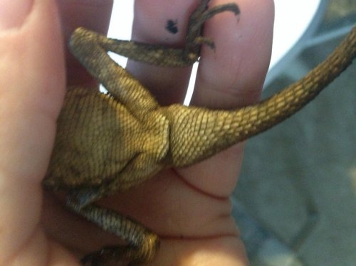 Photo 2014-03-18, 8 20 11 AM.jpg