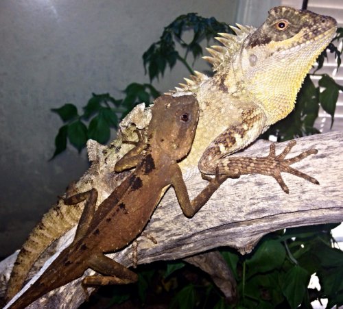 Photo 2014-03-15, 11 15 18 PM.jpg