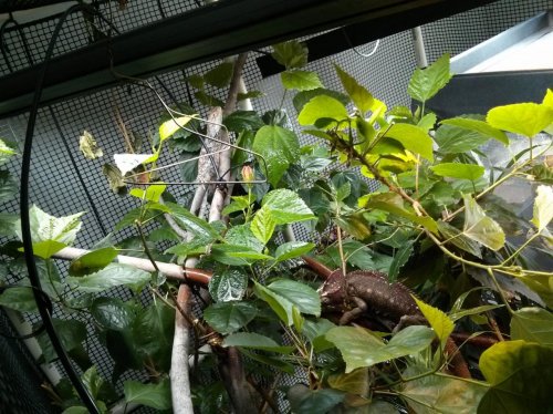 2014-03-30 10.02.11.jpg