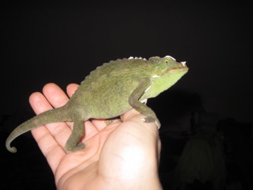 bbbb 001.JPG