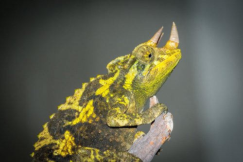0JR_4551-2.jpg