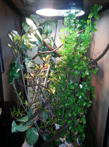 2014-02-02 12.09.54.jpg