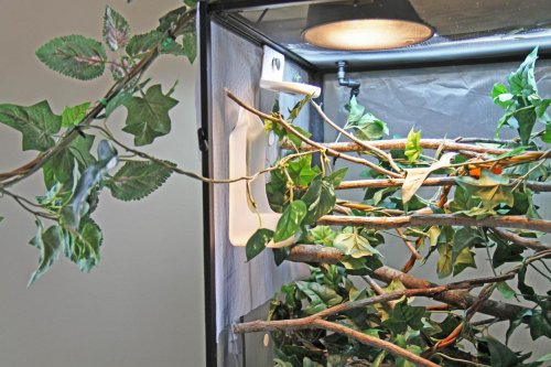 slink vine fr apr14 06.jpg