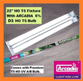 22in d3 6percnt.gif