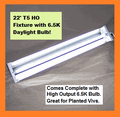 22in 6.5 day bulb.gif