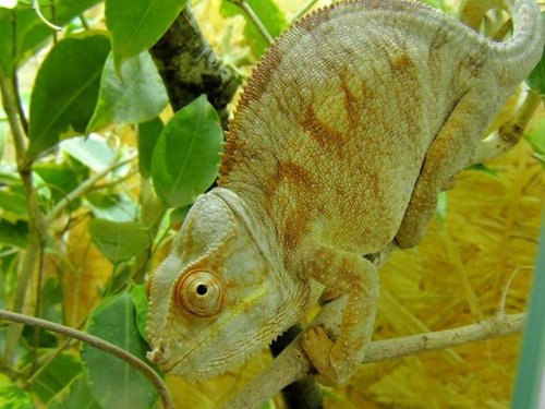 1926699_731829053507839_1671658346_n.jpg