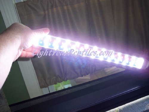 jd grow and glow 11.jpg