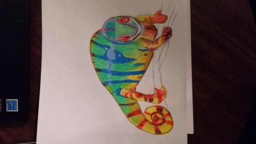 20140413_010458.jpg