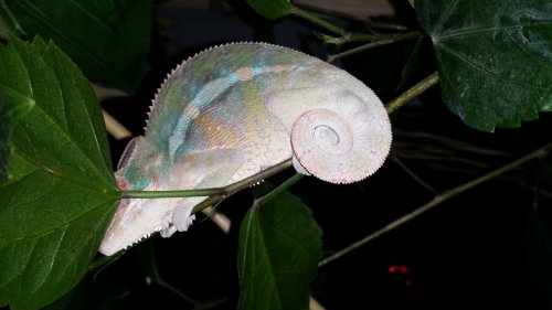 20140417_005905.jpg