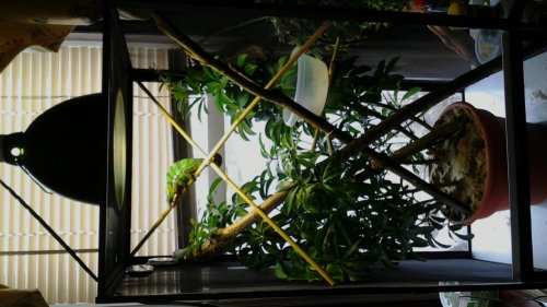 20140417_154213.jpg