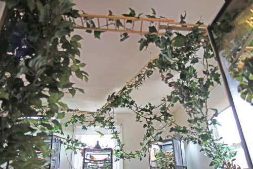 fr 20apr14 01.jpg