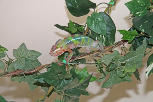 slinky on fr 20apr14.jpg