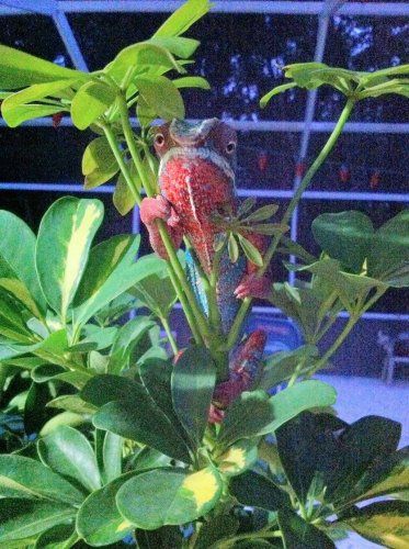 image-6.jpg