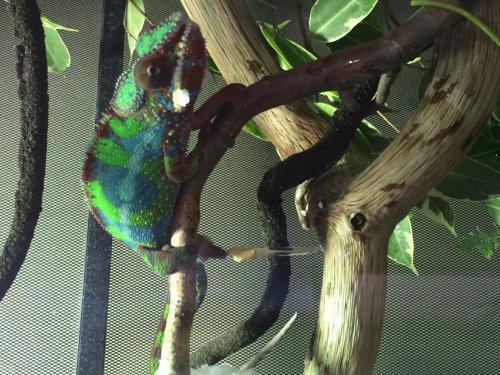 photo-2.jpg