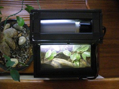 DSCF1473.jpg