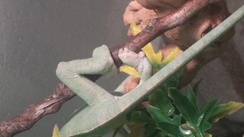 20140423_154837.jpg