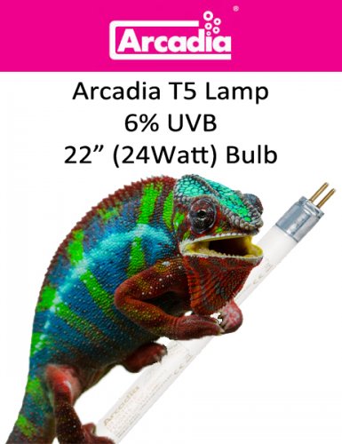 Arcadia 6 UVB Bulb 24.jpg