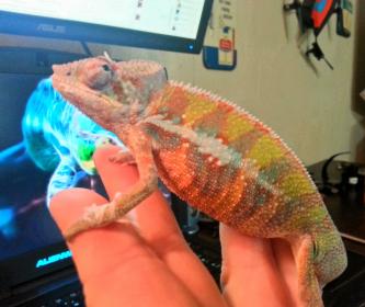 2014-04-24 22.35.43.jpg