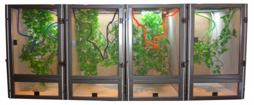 Hatchling-Series-Rack-4.jpg Hatchling-Series-Rack-4.jpg