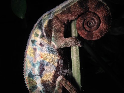 photo 2.jpg photo 2.jpg