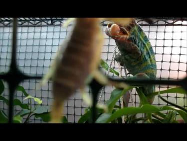 Snapshot 3 (04-29-2014 1-23 PM).jpg