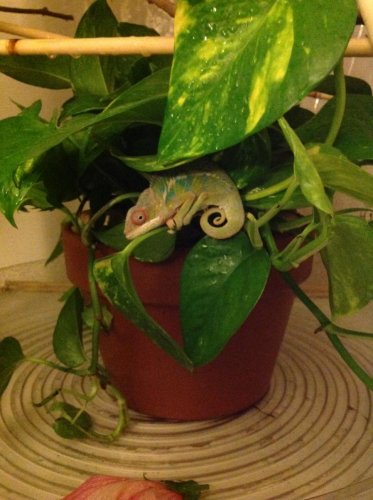 photo (11).jpg