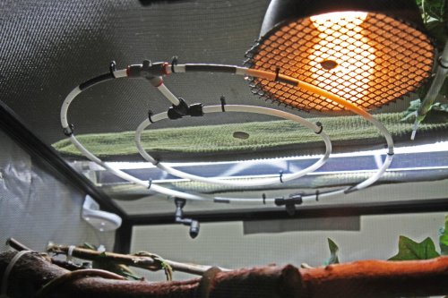 noogys rain ring.jpg