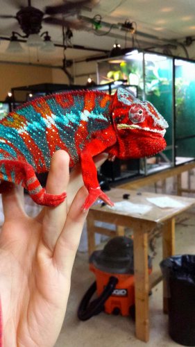 2013-12-25 01.11.42.jpg