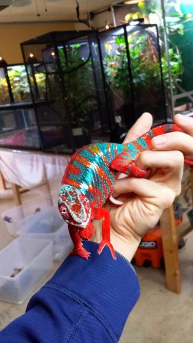 2013-12-25 13.43.50.jpg