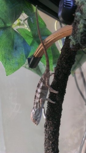 IMAG2143.jpg