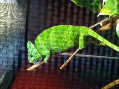 2014-05-15 10.42.33.jpg