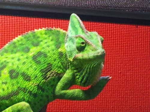 2014-05-15 10.22.12.jpg