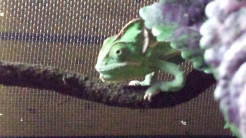 20140516_124025.jpg