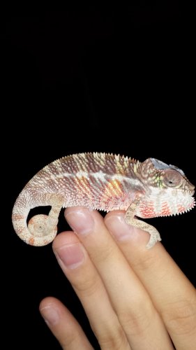 20140520_020522 (2).jpg