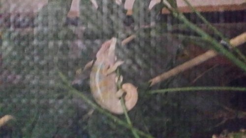 20140521_210422.jpg