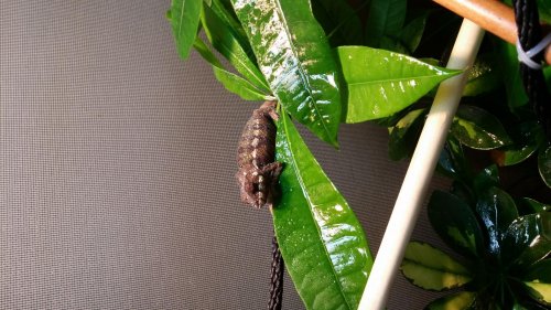 20140521_093242.jpg