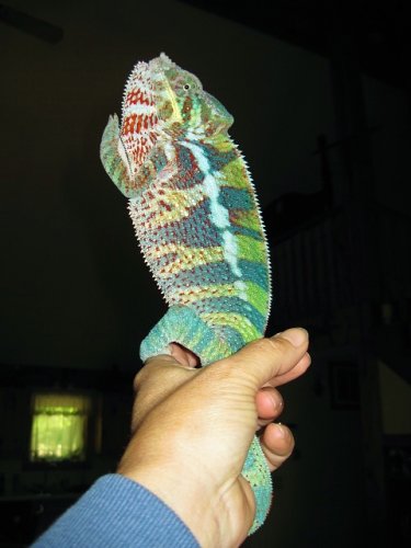 002.JPG